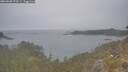 ./images/calvert/foggy-cove/20260508/foggy-cove20260508_073501M.jpg