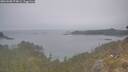 ./images/calvert/foggy-cove/20260508/foggy-cove20260508_074001M.jpg