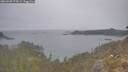 ./images/calvert/foggy-cove/20260508/foggy-cove20260508_075002M.jpg