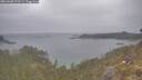 ./images/calvert/foggy-cove/20260508/foggy-cove20260508_075501M.jpg