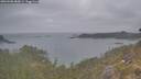 ./images/calvert/foggy-cove/20260508/foggy-cove20260508_080001M.jpg