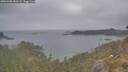 ./images/calvert/foggy-cove/20260508/foggy-cove20260508_080501M.jpg