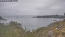 ./images/calvert/foggy-cove/20260508/foggy-cove20260508_081001M.jpg