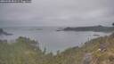 ./images/calvert/foggy-cove/20260508/foggy-cove20260508_081502M.jpg