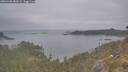 ./images/calvert/foggy-cove/20260508/foggy-cove20260508_082002M.jpg