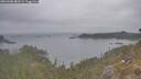 ./images/calvert/foggy-cove/20260508/foggy-cove20260508_082501M.jpg