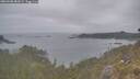 ./images/calvert/foggy-cove/20260508/foggy-cove20260508_083001M.jpg
