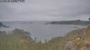 ./images/calvert/foggy-cove/20260508/foggy-cove20260508_083501M.jpg
