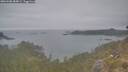 ./images/calvert/foggy-cove/20260508/foggy-cove20260508_084001M.jpg