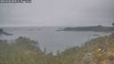 ./images/calvert/foggy-cove/20260508/foggy-cove20260508_084501M.jpg