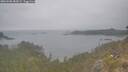 ./images/calvert/foggy-cove/20260508/foggy-cove20260508_085001M.jpg