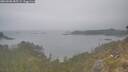 ./images/calvert/foggy-cove/20260508/foggy-cove20260508_085502M.jpg