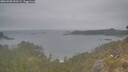 ./images/calvert/foggy-cove/20260508/foggy-cove20260508_090501M.jpg