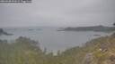 ./images/calvert/foggy-cove/20260508/foggy-cove20260508_091002M.jpg