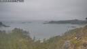 ./images/calvert/foggy-cove/20260508/foggy-cove20260508_091501M.jpg