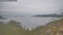 ./images/calvert/foggy-cove/20260508/foggy-cove20260508_092001M.jpg