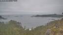 ./images/calvert/foggy-cove/20260508/foggy-cove20260508_093501M.jpg