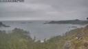./images/calvert/foggy-cove/20260508/foggy-cove20260508_094501M.jpg