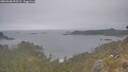 ./images/calvert/foggy-cove/20260508/foggy-cove20260508_095501M.jpg