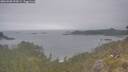 ./images/calvert/foggy-cove/20260508/foggy-cove20260508_101001M.jpg