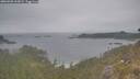./images/calvert/foggy-cove/20260508/foggy-cove20260508_103001M.jpg