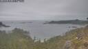 ./images/calvert/foggy-cove/20260508/foggy-cove20260508_104001M.jpg