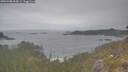 ./images/calvert/foggy-cove/20260508/foggy-cove20260508_104501M.jpg