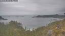 ./images/calvert/foggy-cove/20260508/foggy-cove20260508_111001M.jpg