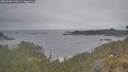 ./images/calvert/foggy-cove/20260508/foggy-cove20260508_112501M.jpg