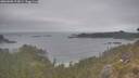 ./images/calvert/foggy-cove/20260508/foggy-cove20260508_113001M.jpg