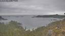 ./images/calvert/foggy-cove/20260508/foggy-cove20260508_114001M.jpg