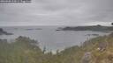 ./images/calvert/foggy-cove/20260508/foggy-cove20260508_115001M.jpg