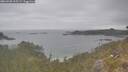 ./images/calvert/foggy-cove/20260508/foggy-cove20260508_115501M.jpg