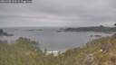 ./images/calvert/foggy-cove/20260508/foggy-cove20260508_120501M.jpg