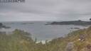 ./images/calvert/foggy-cove/20260508/foggy-cove20260508_121002M.jpg