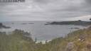 ./images/calvert/foggy-cove/20260508/foggy-cove20260508_124001M.jpg