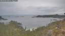 ./images/calvert/foggy-cove/20260508/foggy-cove20260508_130002M.jpg