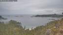 ./images/calvert/foggy-cove/20260508/foggy-cove20260508_131001M.jpg