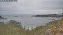 ./images/calvert/foggy-cove/20260508/foggy-cove20260508_131502M.jpg