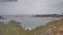 ./images/calvert/foggy-cove/20260508/foggy-cove20260508_133501M.jpg