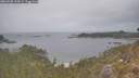 ./images/calvert/foggy-cove/20260508/foggy-cove20260508_135001M.jpg