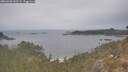 ./images/calvert/foggy-cove/20260508/foggy-cove20260508_135501M.jpg