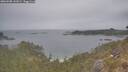 ./images/calvert/foggy-cove/20260508/foggy-cove20260508_141001M.jpg