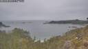 ./images/calvert/foggy-cove/20260508/foggy-cove20260508_141501M.jpg