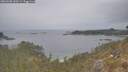 ./images/calvert/foggy-cove/20260508/foggy-cove20260508_143501M.jpg