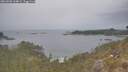 ./images/calvert/foggy-cove/20260508/foggy-cove20260508_144001M.jpg