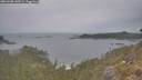 ./images/calvert/foggy-cove/20260508/foggy-cove20260508_145501M.jpg