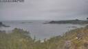 ./images/calvert/foggy-cove/20260508/foggy-cove20260508_150001M.jpg