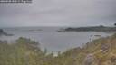 ./images/calvert/foggy-cove/20260508/foggy-cove20260508_150501M.jpg