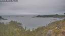./images/calvert/foggy-cove/20260508/foggy-cove20260508_151001M.jpg